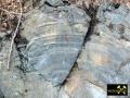 Steinbruch am Krippenberg bei Weida in Ostthüringen, (D) (34) 20. Februar 2012 (Ziegenrück-Formation, Krippenbergkonglomerat).JPG